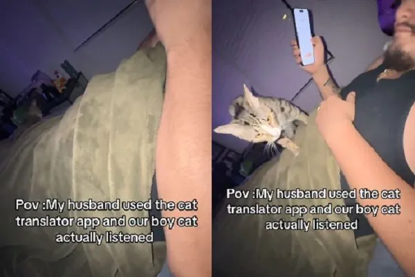 ▲。（圖／翻攝自TikTok／@kensy.chisme）