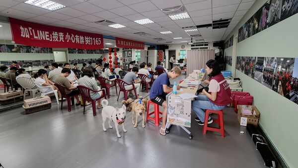 ▲新北偏鄉犬貓「絕育3合1」啟動。（圖／新北市動保處提供）