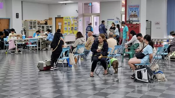 ▲新北偏鄉犬貓「絕育3合1」啟動。（圖／新北市動保處提供）