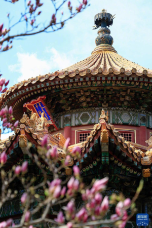 ▲▼北京故宮建院100週年。（圖／新華社）