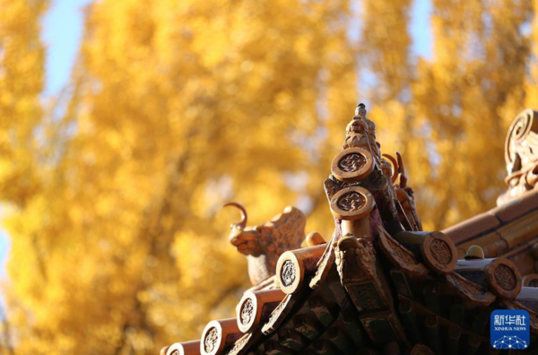 ▲北京故宮建院100週年。（圖／新華社）