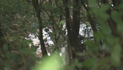 日84歲獨居嬤「開車衝破護欄」墜40m深谷! 陳屍多日才被發現