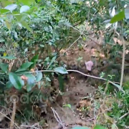 ▲▼黃姓山友登東卯山東峰失聯47天，今(11)日跑山獸在步道下方發現疑似失蹤者的鞋帽，在深80米深谷發現已身亡。（圖／記者李陳信得攝）