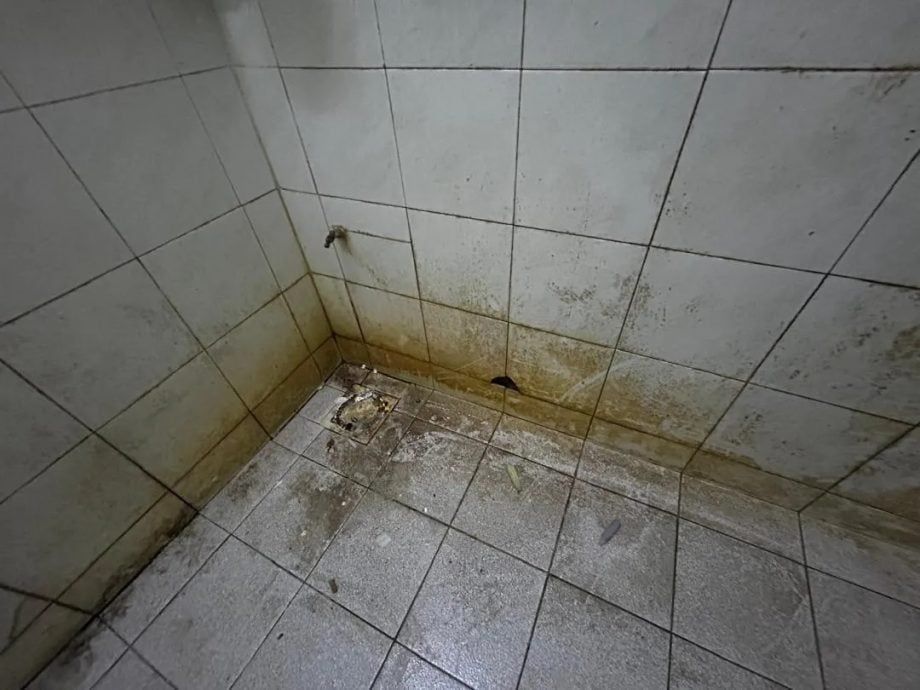 ▲▼ （圖／翻攝自星洲網）