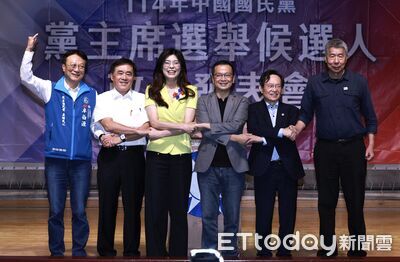 傳鄭麗文當選黨主席呼聲最高 藍委憂中國介入但無直接證據
