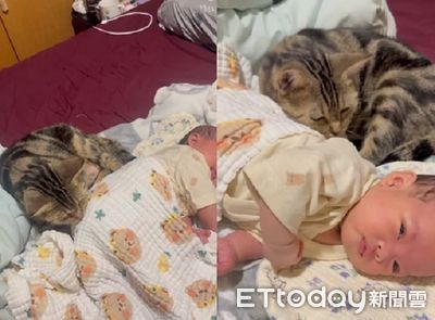 13歲貓阿嬤「踏踏哄孫」　母愛爆發每天當「巡邏員」關心寶寶