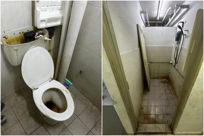 噁爆！房子出租一年「發黑發臭」慘況曝光　馬桶長滿深黑尿垢