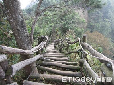 「神秘阿伯指路」女大生大坑山區迷路愈走愈毛...竟是真實案例