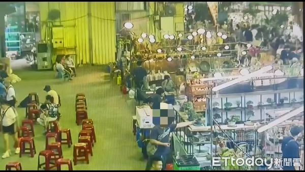 ▲60歲蔡男順手牽羊偷走高價海刺柑盆栽。（圖／記者張君豪翻攝）