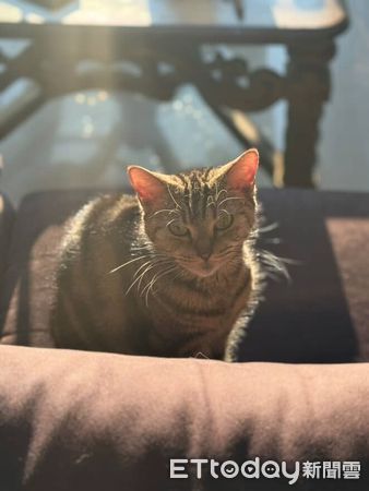 ▲。（圖／Threads@cardi_beach1111提供，請勿隨意翻拍，以免侵權。）