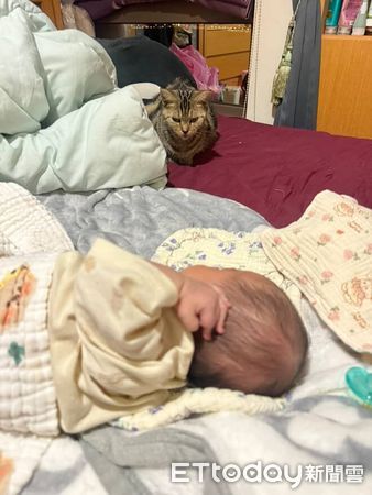 ▲。（圖／Threads@cardi_beach1111提供，請勿隨意翻拍，以免侵權。）