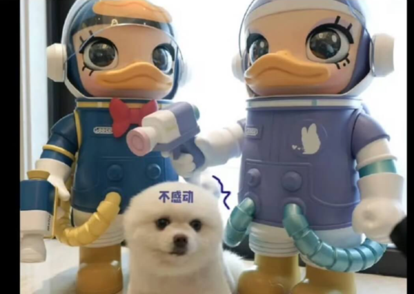 ▲李昀銳與孟子義爆假戲真做。（圖／翻攝自微博）