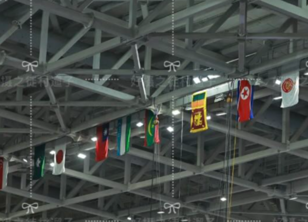 ▲▼桌球亞錦賽驚見「中華民國國旗」　陸網氣炸喊罷賽。（圖／翻攝自小紅書／村遛子）