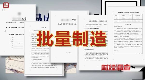 ▲▼大陸「槍手」用AI代寫論文。（圖／翻攝央視財經）