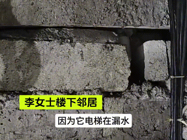 ▲女子出遊時接獲自家智慧馬桶「炸了」的消息。（圖／翻攝極目新聞）