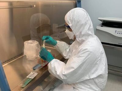 水災後警戒!傳染病「類鼻疽」感染恐致敗血症 泥土可存活30月