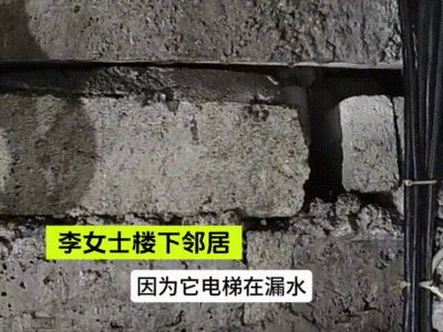 女子出遊被告知「家裡淹大水」 朋友一查發現:智慧馬桶炸了!