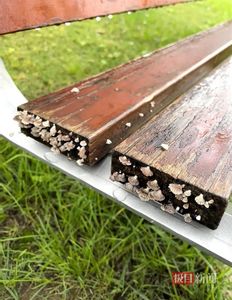 連續一個多月下雨！　西安人傻眼：遍地長出蘑菇