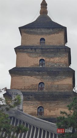 ▲▼連續一個多月下雨，西安人遍地長出蘑菇。（圖／翻攝極目新聞）