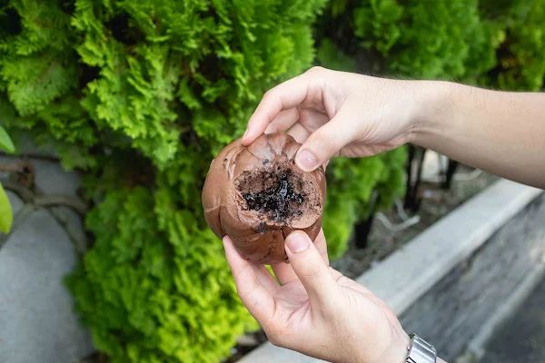 ▲▼台中北區美食推薦「包囍饅頭台中漢口店」，必吃饅頭尬手切冰、和牛化身肉包！（圖／部落客美熊提供）