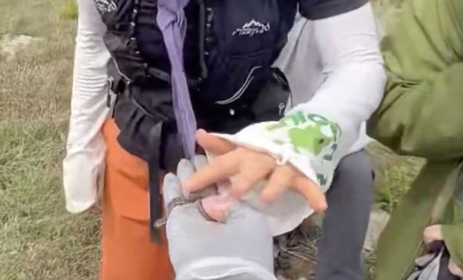 ▲陸登山客撿到蛇寶寶輪流撫摸，不知其為劇毒短尾蝮蛇。（圖／翻攝微博）