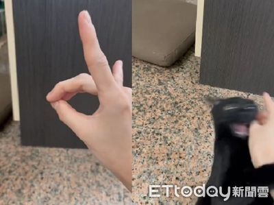 比手勢「亂咬惡魔」飛撲現身! 契約者每次都慘遭攻擊