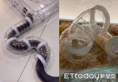 蛇寶玩「真實版貪食蛇」鑽管道穿來穿去　出口探頭萌翻媽