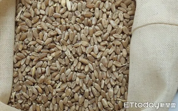 食藥署10/14邊境查驗。（圖／食藥署提供）