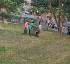 ▲有民眾從捕狗籠將浪狗放出。（圖／公所提供）