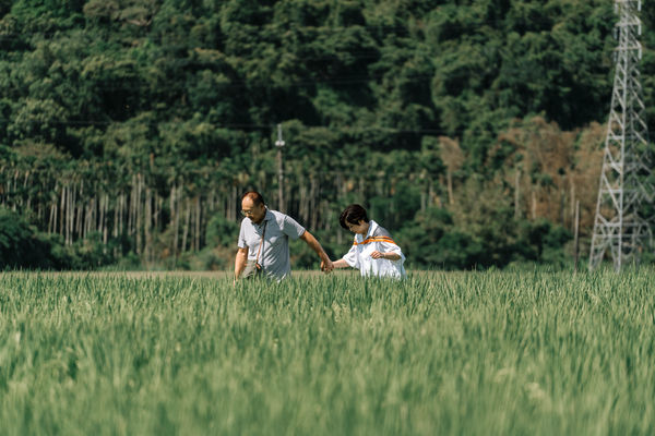 ▲《就算一個人也可以好好的吃飯2》即將在11月開播。（圖／公視+提供）