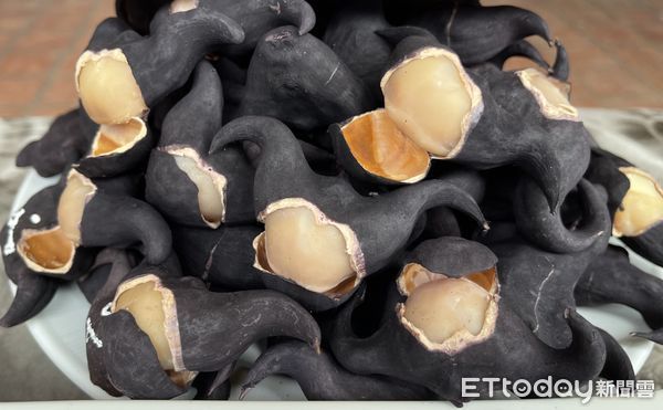 ▲西拉雅國家風景區管理處推出搭乘台灣好行「菱波官田線」捕捉蝙蝠俠活動，限時6天送在地菱角。（記者林東良翻攝，下同）