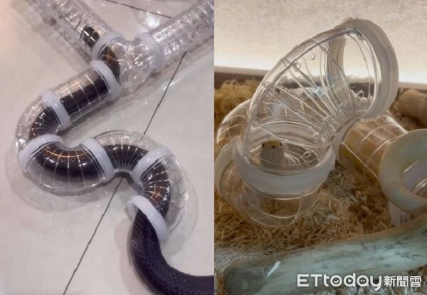 ▲。（圖／Threads@fwjp_aoaomi提供，請勿隨意翻拍，以免侵權。）