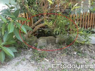 快訊/竹北1歲半女童幼兒園內生態池溺斃! 竹檢出手了