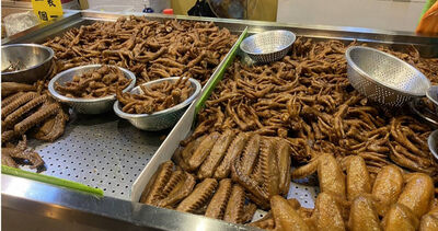 生意差!滷味店老闆竟加罌粟吸客 網嚇:我家附近麻辣燙吃了還想吃