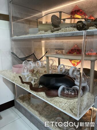 ▲。（圖／Threads@fwjp_aoaomi提供，請勿隨意翻拍，以免侵權。）