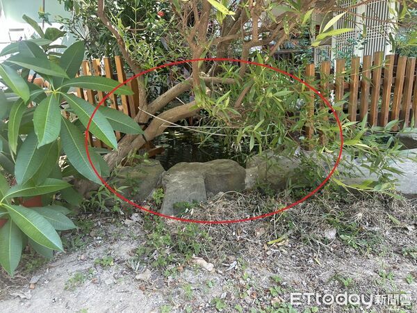 ▲▼      竹北幼兒園傳1歲半女童溺斃！墜落20cm深生態池　老師事後才發現       。（圖／記者楊永盛翻攝）