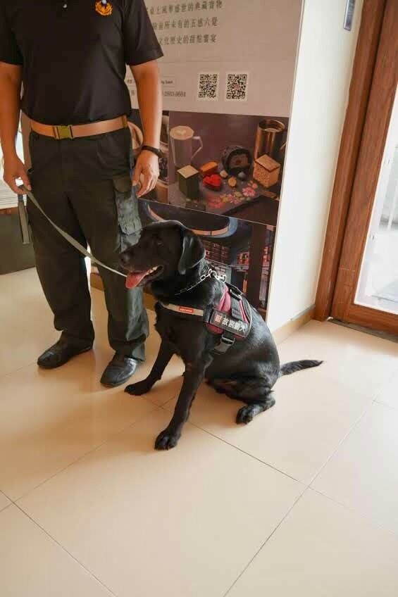 ▲「全國唯一」博物院保護文物偵爆犬 台北故宮警犬隊超親人。(圖/網友@silverhsiao提供,請勿隨意翻拍,以免侵權。)