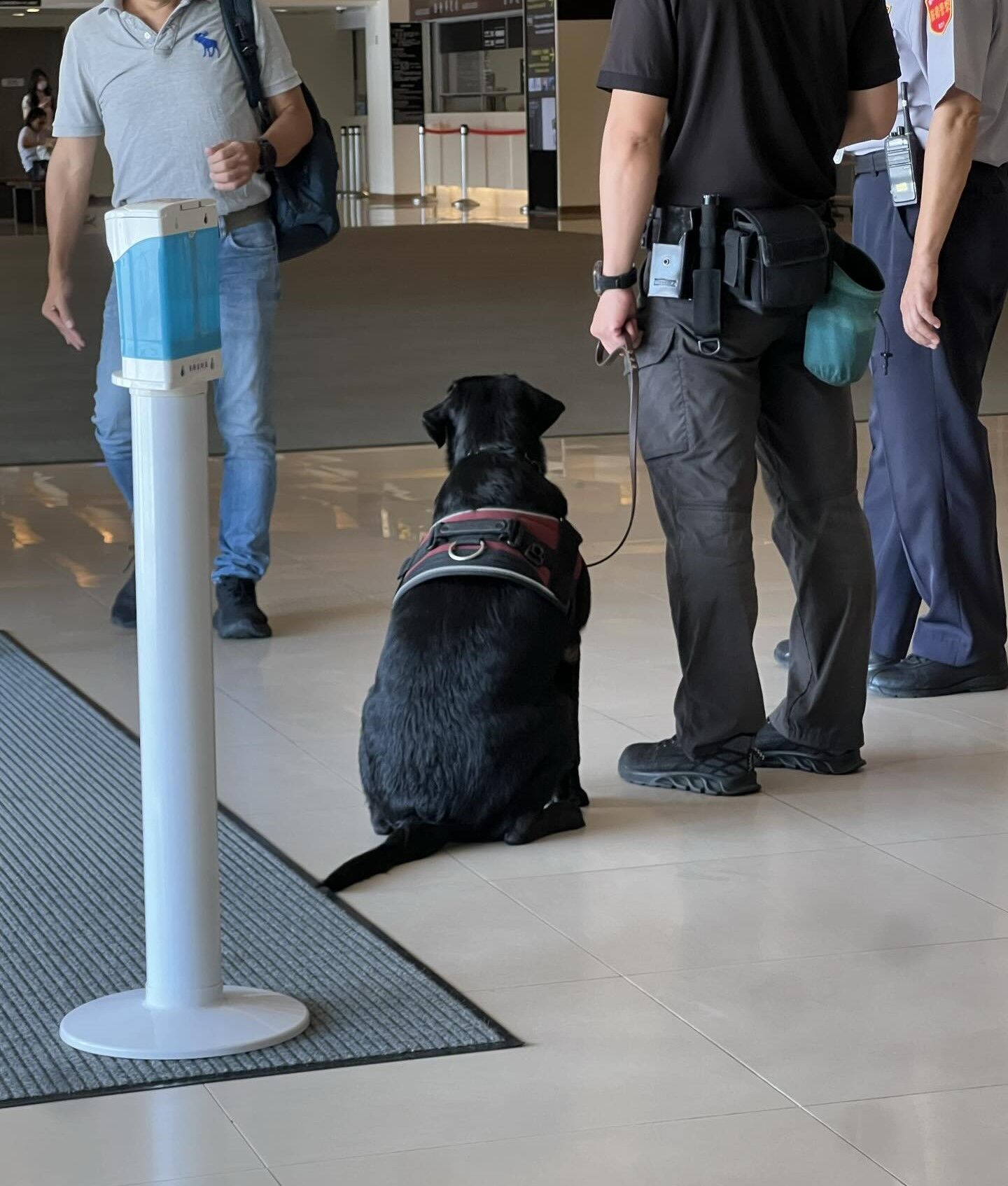 ▲「全國唯一」博物院保護文物偵爆犬 台北故宮警犬隊超親人。(圖/網友@silvester.lin提供,請勿隨意翻拍,以免侵權。)