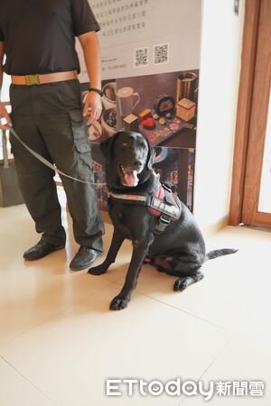 ▲「全國唯一」博物院保護文物偵爆犬 台北故宮警犬隊超親人。(圖/網友@silverhsiao提供,請勿隨意翻拍,以免侵權。)