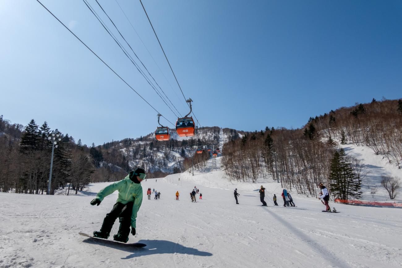 樂天旅遊,雙11,哈日,日本旅遊,訂房平台,住宿,滑雪,賞櫻（圖／樂天旅遊提供）