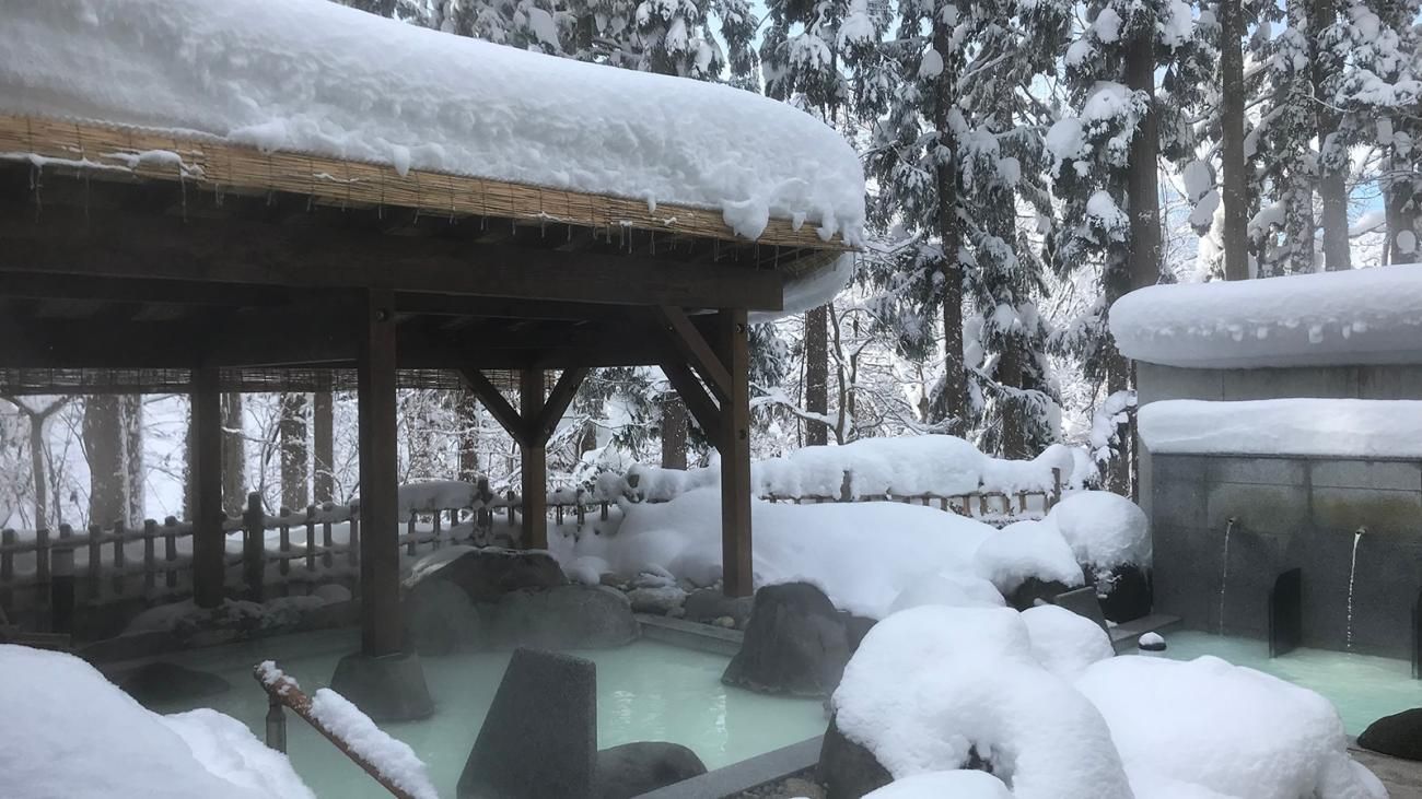 樂天旅遊,雙11,哈日,日本旅遊,訂房平台,住宿,滑雪,賞櫻（圖／樂天旅遊提供）