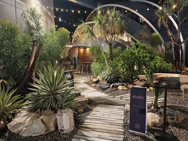 ▲▼Petit Petit Bar 沛提沛提台中酒吧－寵物友善。（圖／部落客混血珊莎的奇幻旅程授權提供）