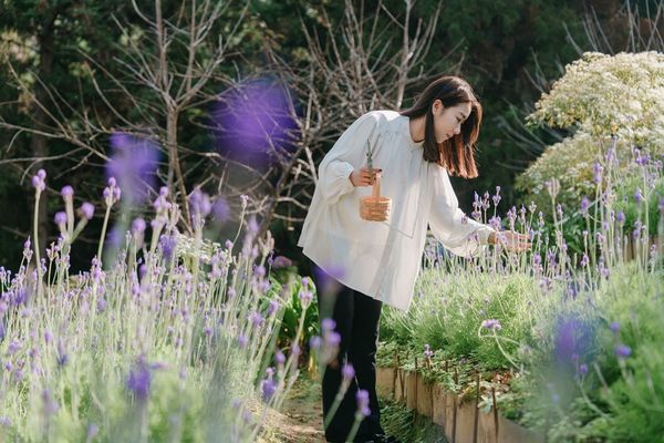 ▲薰衣草森林集團尋路精選包棟住宿券16000元起。（圖／業者提供）