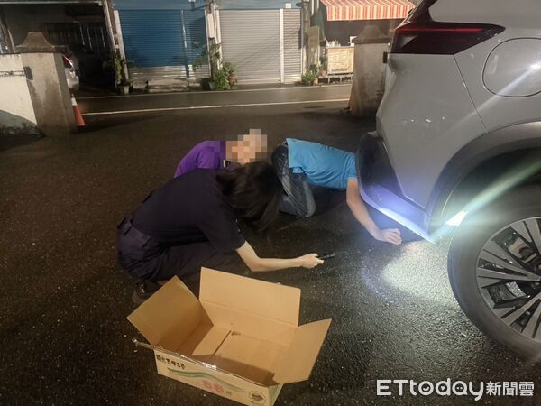 ▲穿山甲鑽車底。（圖／記者陳崑福翻攝）