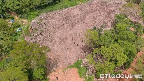 ▲不法集團濫倒廢棄樹枝等廢棄物，檢警追查發現堆置大如足球場大，已將地主和業者共12人起訴。（圖／苗栗地檢署、環保署提供）