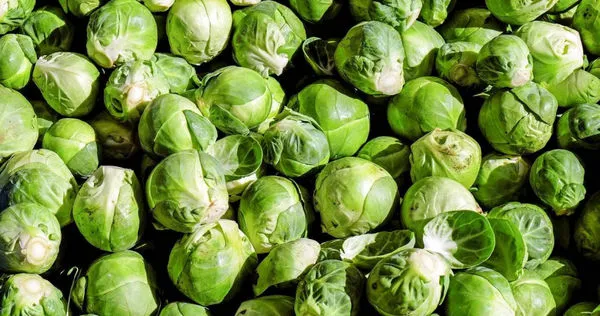 進口菜農藥超標！民眾「以為沒吃」不擔心　菜販曝驚人真相：其實天天在吃