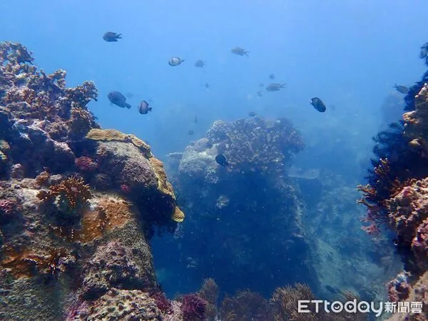 ▲墾丁南灣多數海域水體逐漸改善。（圖／墾管處提供)