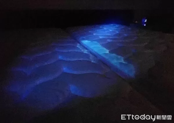 ▲芭蕾酒店。（圖／記者游瓊華攝）