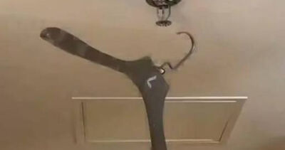 住飯店隨手一掛！事後竟收「68萬天價帳單」　陸旅客嚇傻