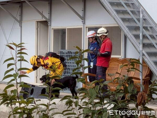 ▲台南市消防局兩隻搜救犬「Stitch」（史迪奇）與「Xavi」（渣渣）表現亮眼，分別通過高級（B級）與中級（A級）檢測。（記者林東良翻攝，下同）